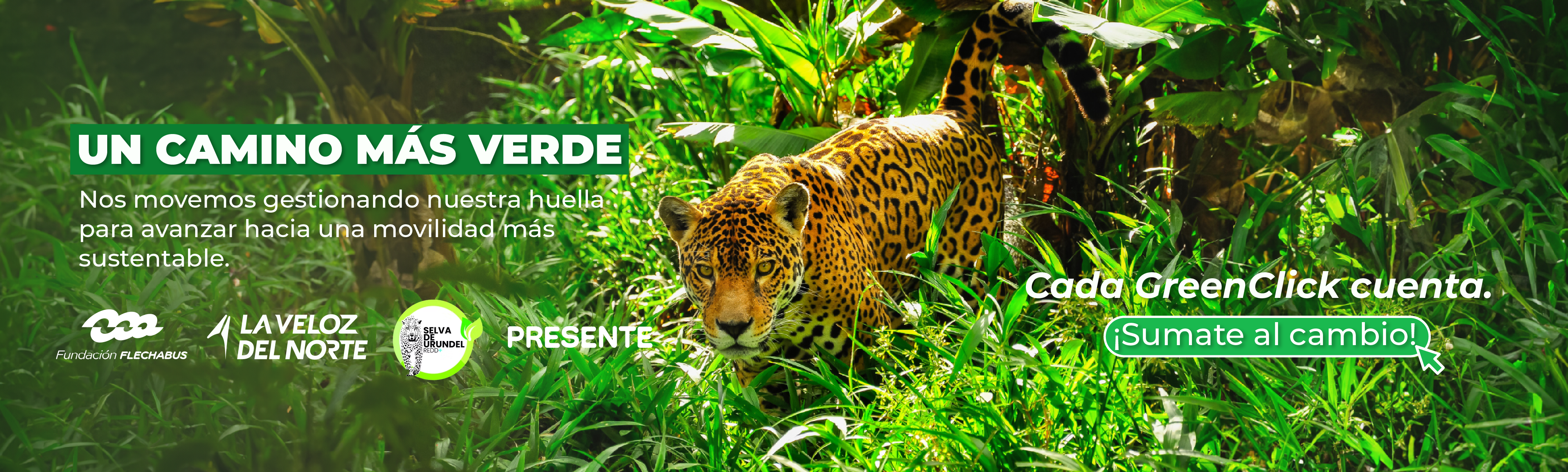 Descripción imagen desktop